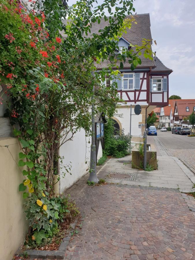 ホテルLandgasthof Rose ディツィンゲン エクステリア 写真